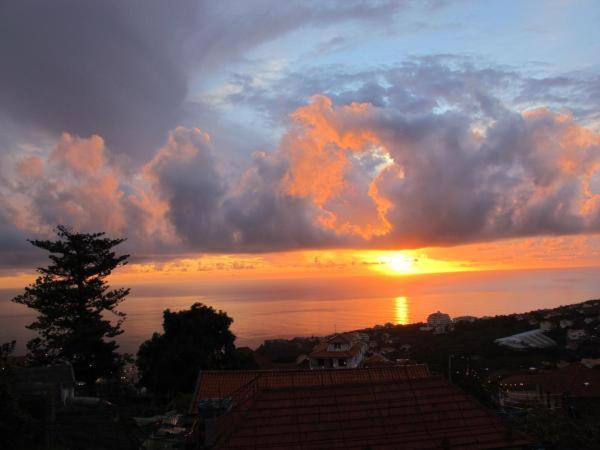 Madeira House Villa กัลเลตา ห้อง รูปภาพ